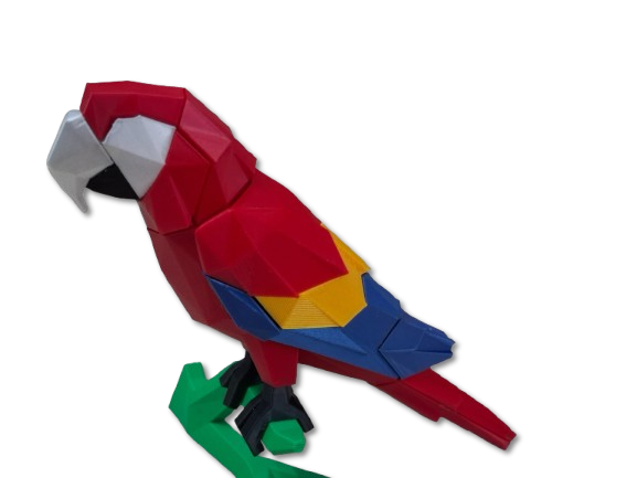 Magnetic Parrot Puzzle