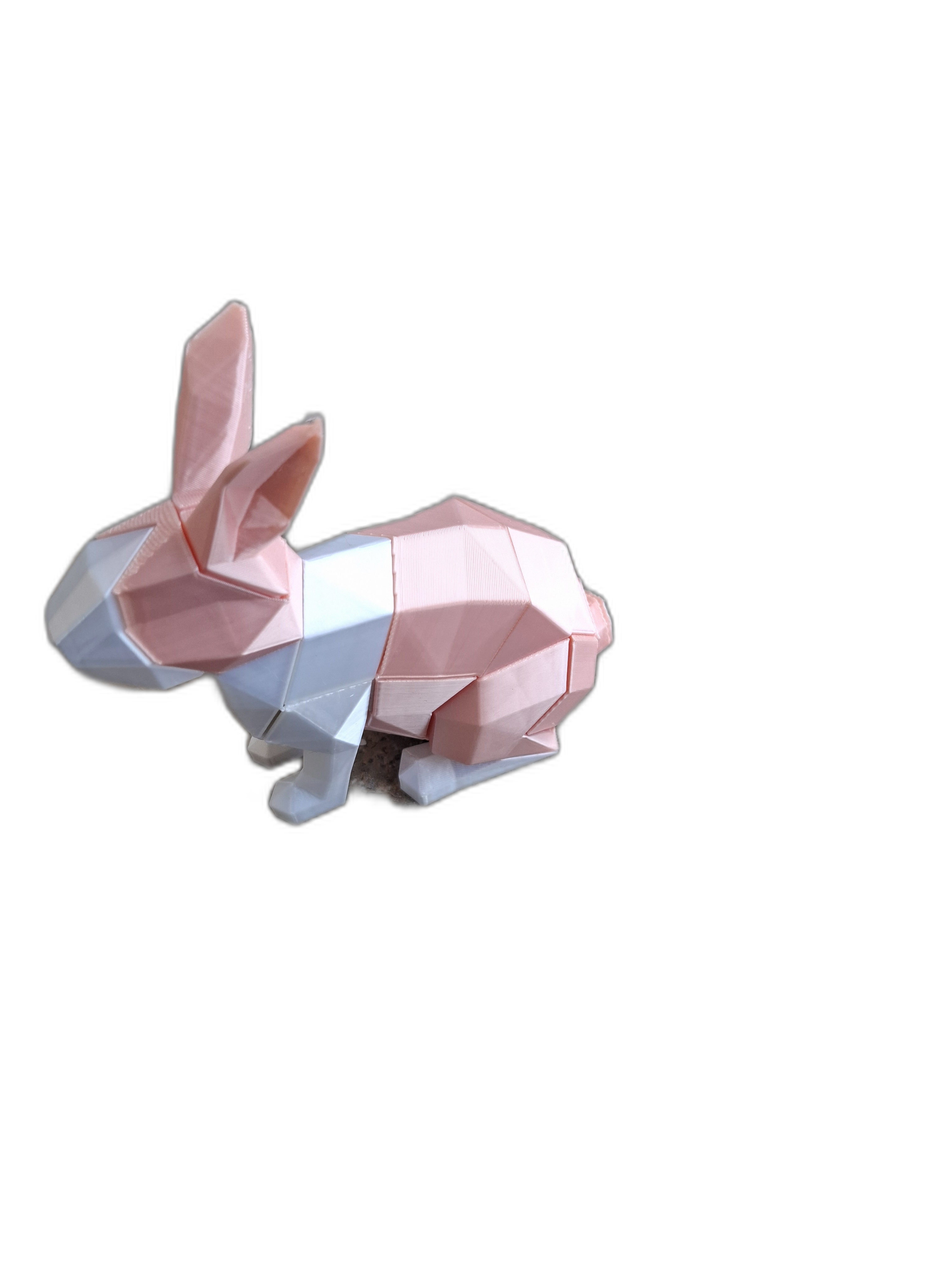 Magnetic Rabbit Puzzle