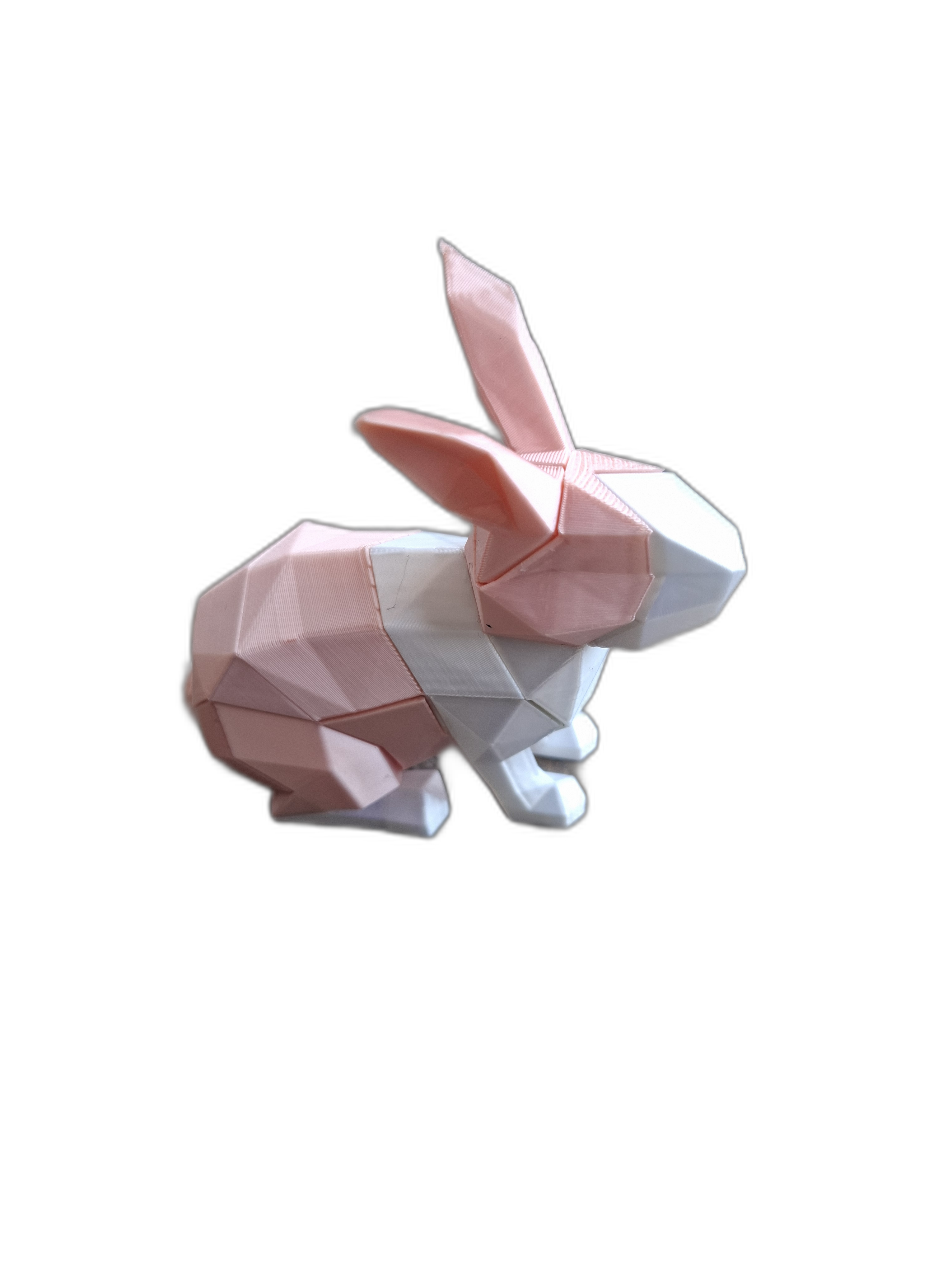 Magnetic Rabbit Puzzle