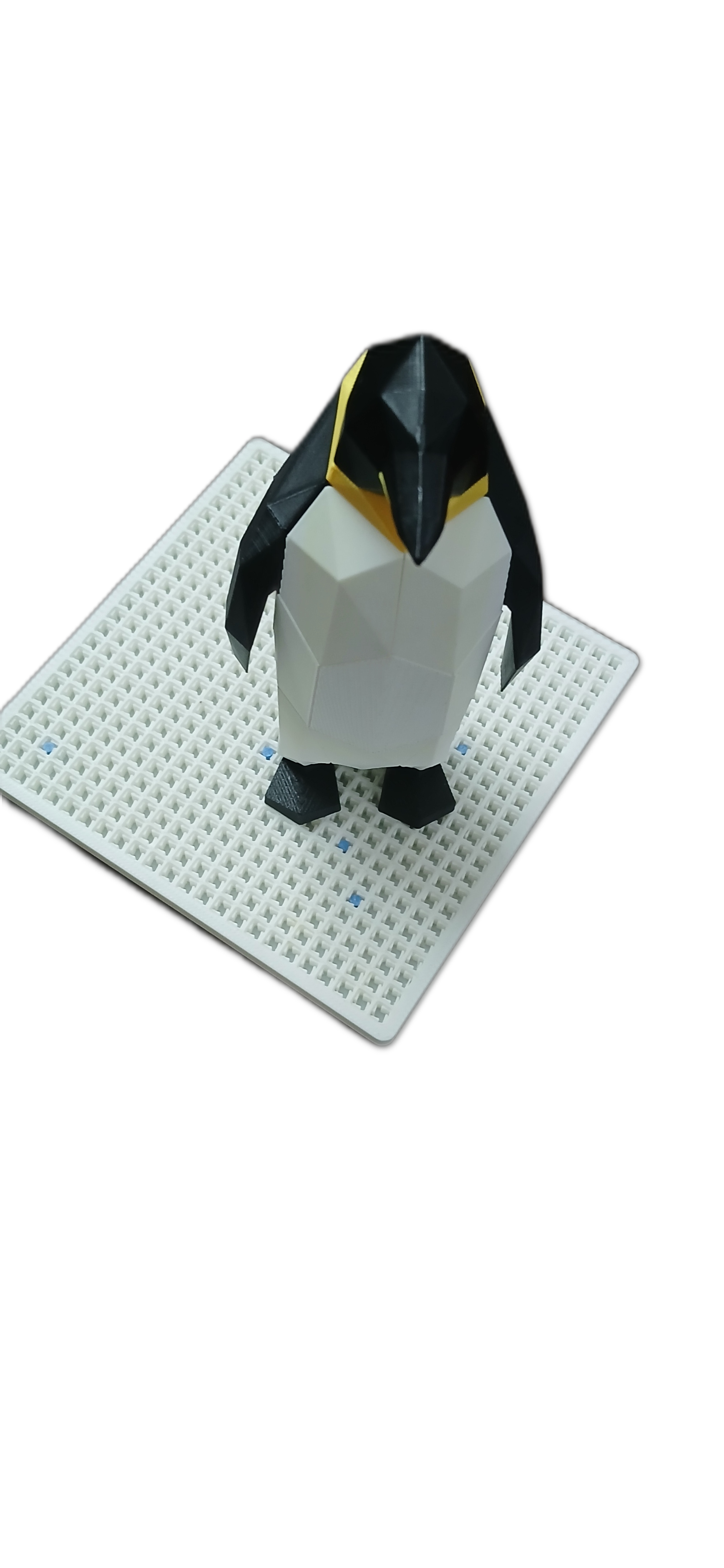Geometric Penguin Magnetic Puzzle