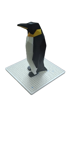 Geometric Penguin Magnetic Puzzle