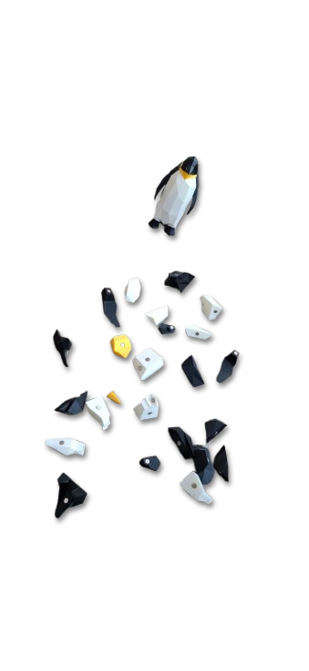 Geometric Penguin Magnetic Puzzle