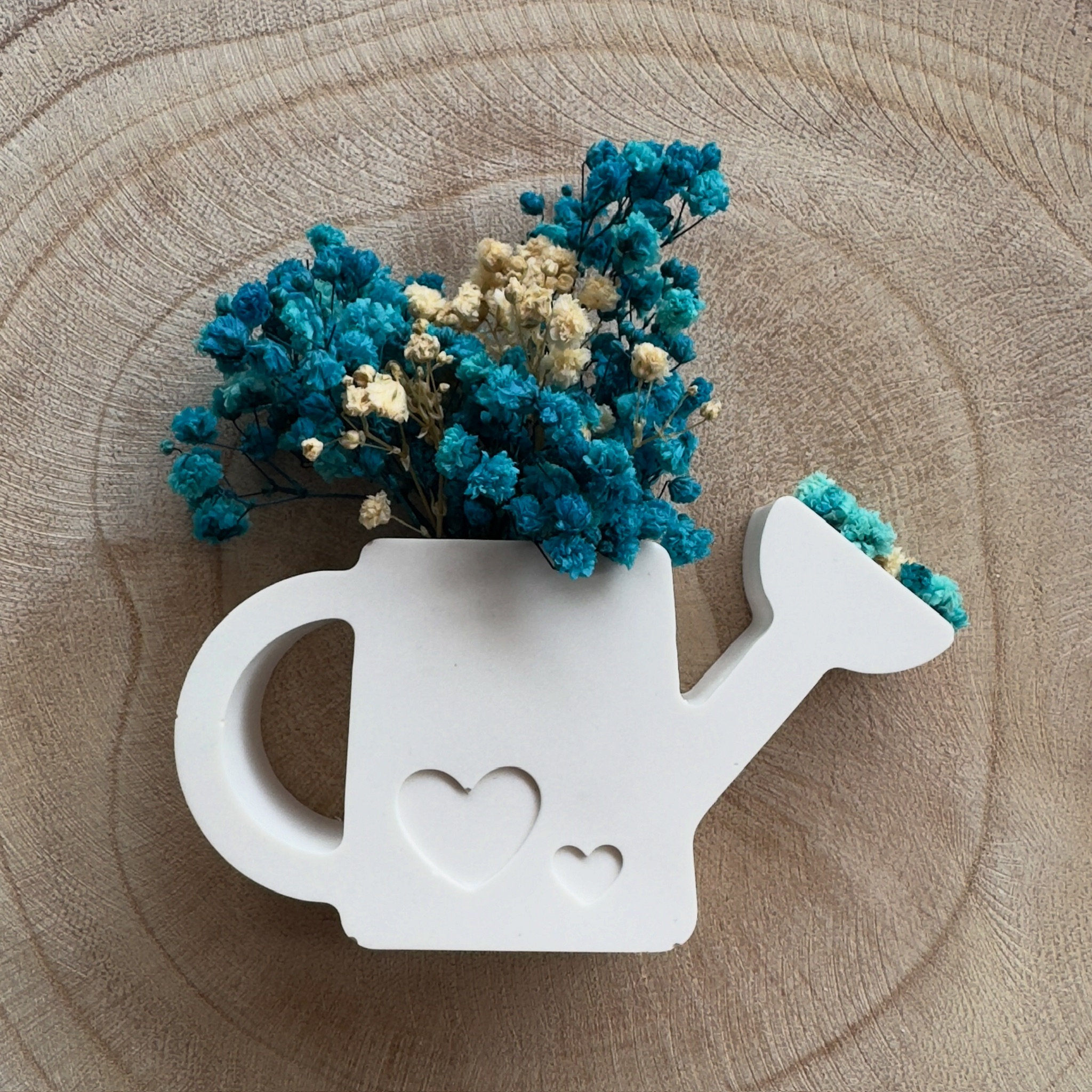 Vaso Regador Decorativo