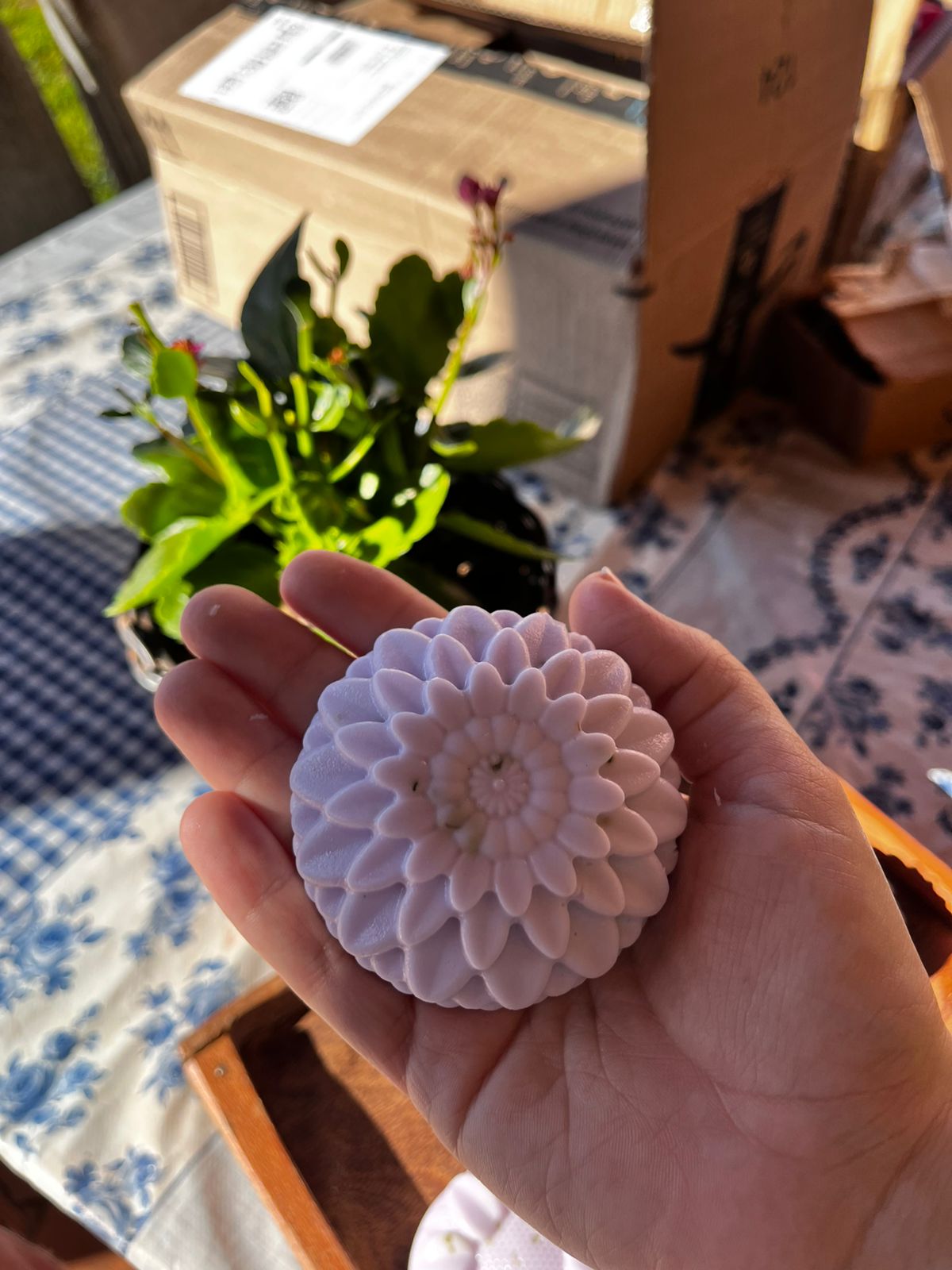 Sabonete de Lavanda Francesa