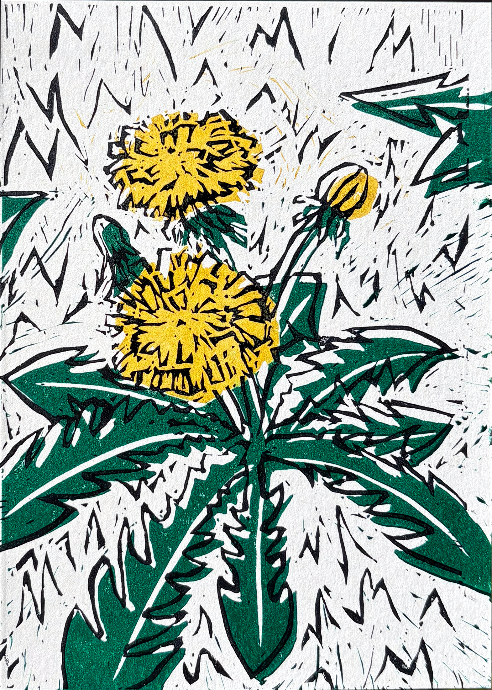 Dandelions