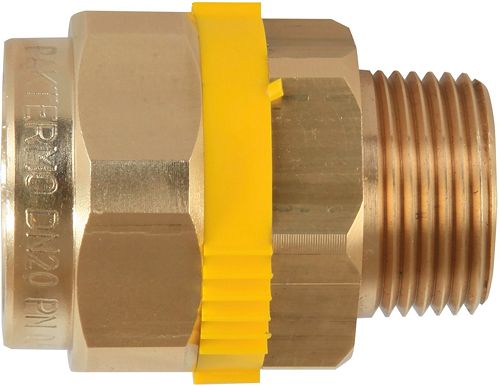 PLT GAZ MANCHON FILETE PAKTERMO DN25-4/4"M