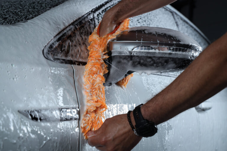 CARPRO FairyTail Wash Mitt