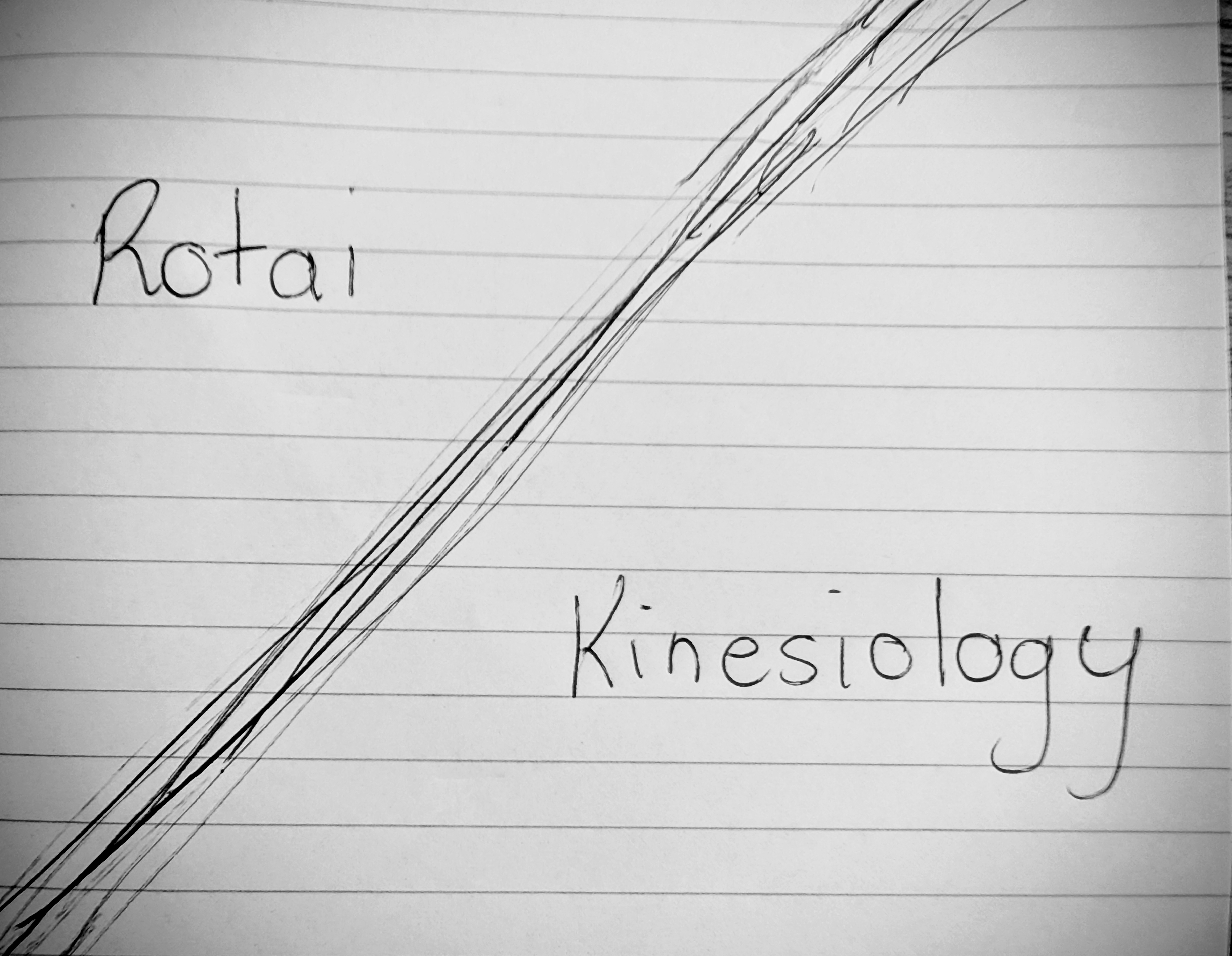 3 hour Kinesiology & Rotai Package Treatment