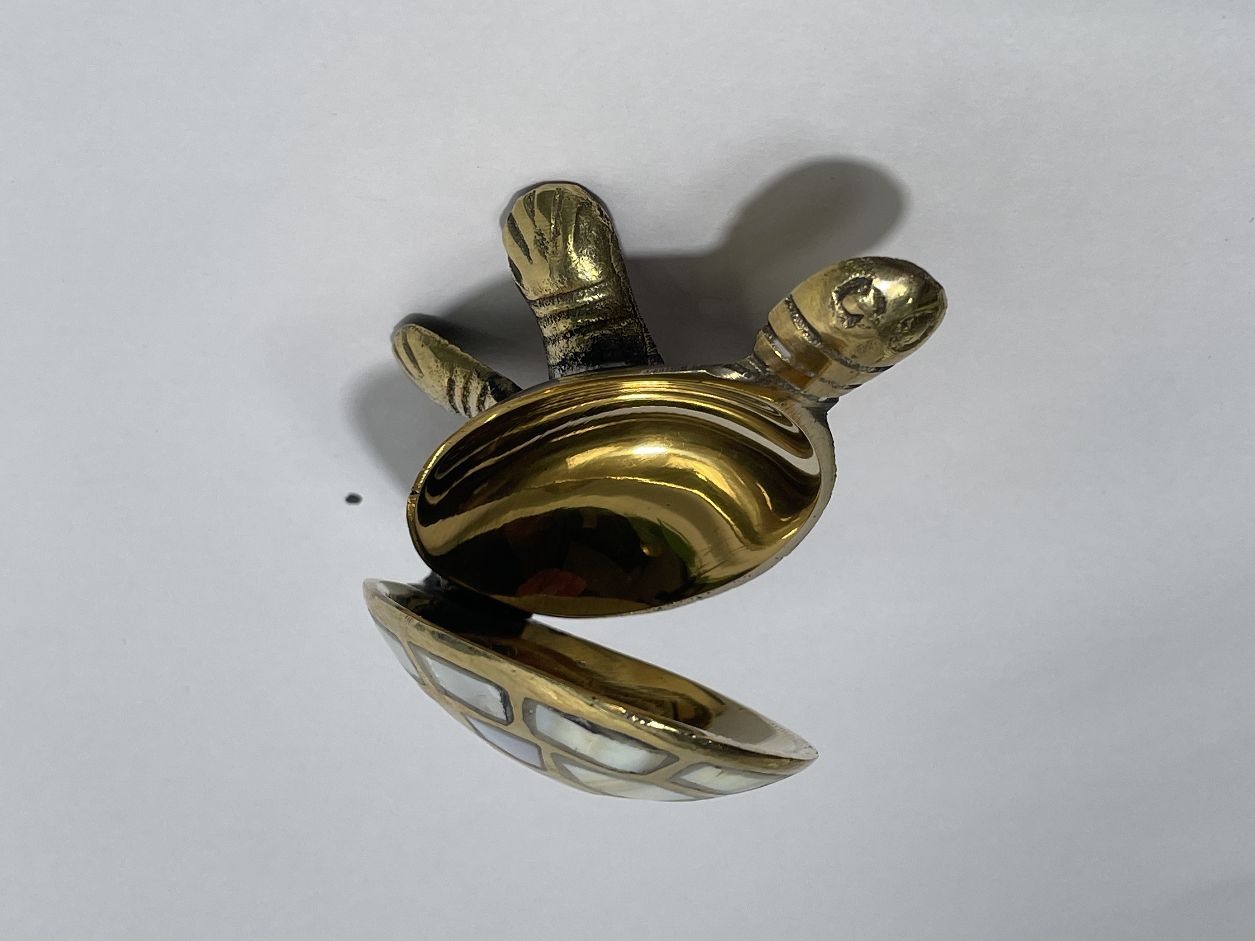 Wishing Tortoise | Symbol of Luck, Stability & Long Life 