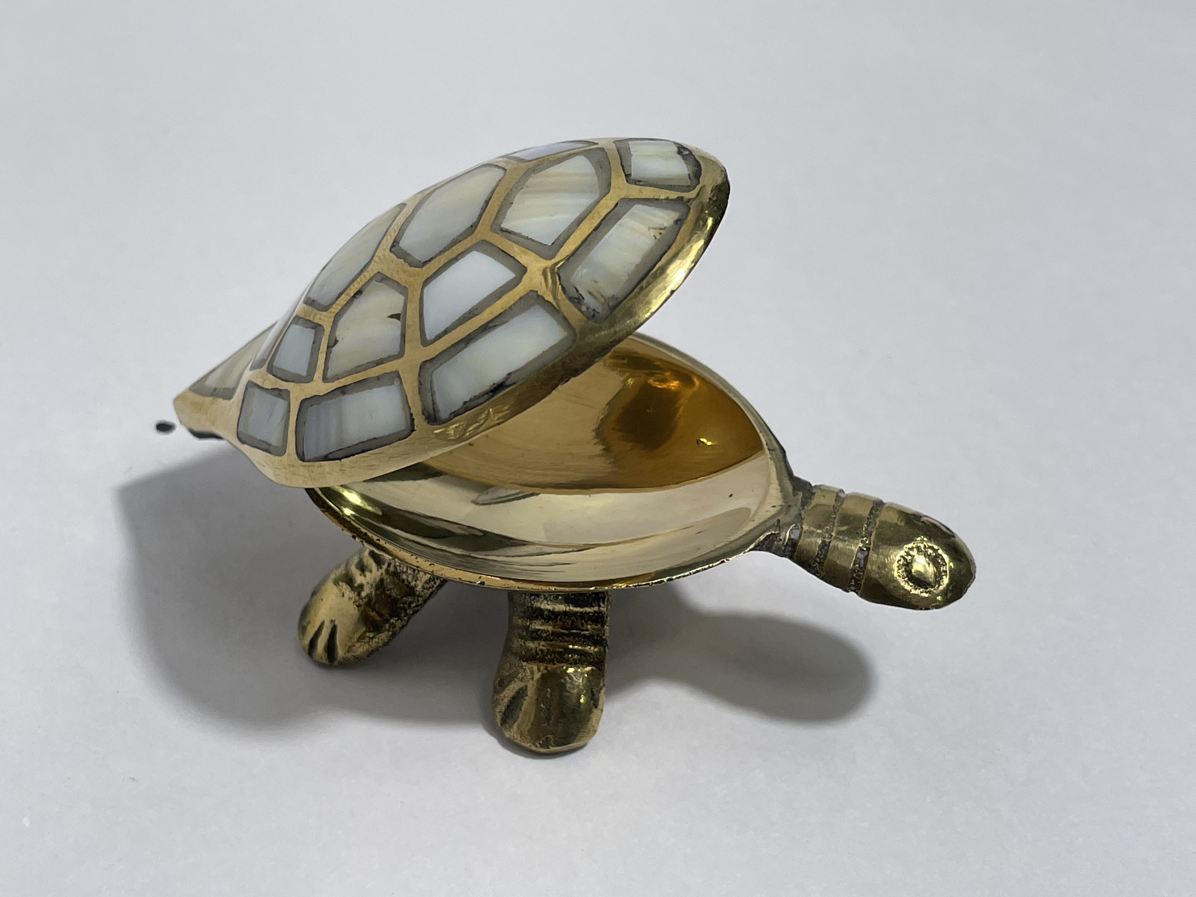 Wishing Tortoise | Symbol of Luck, Stability & Long Life 