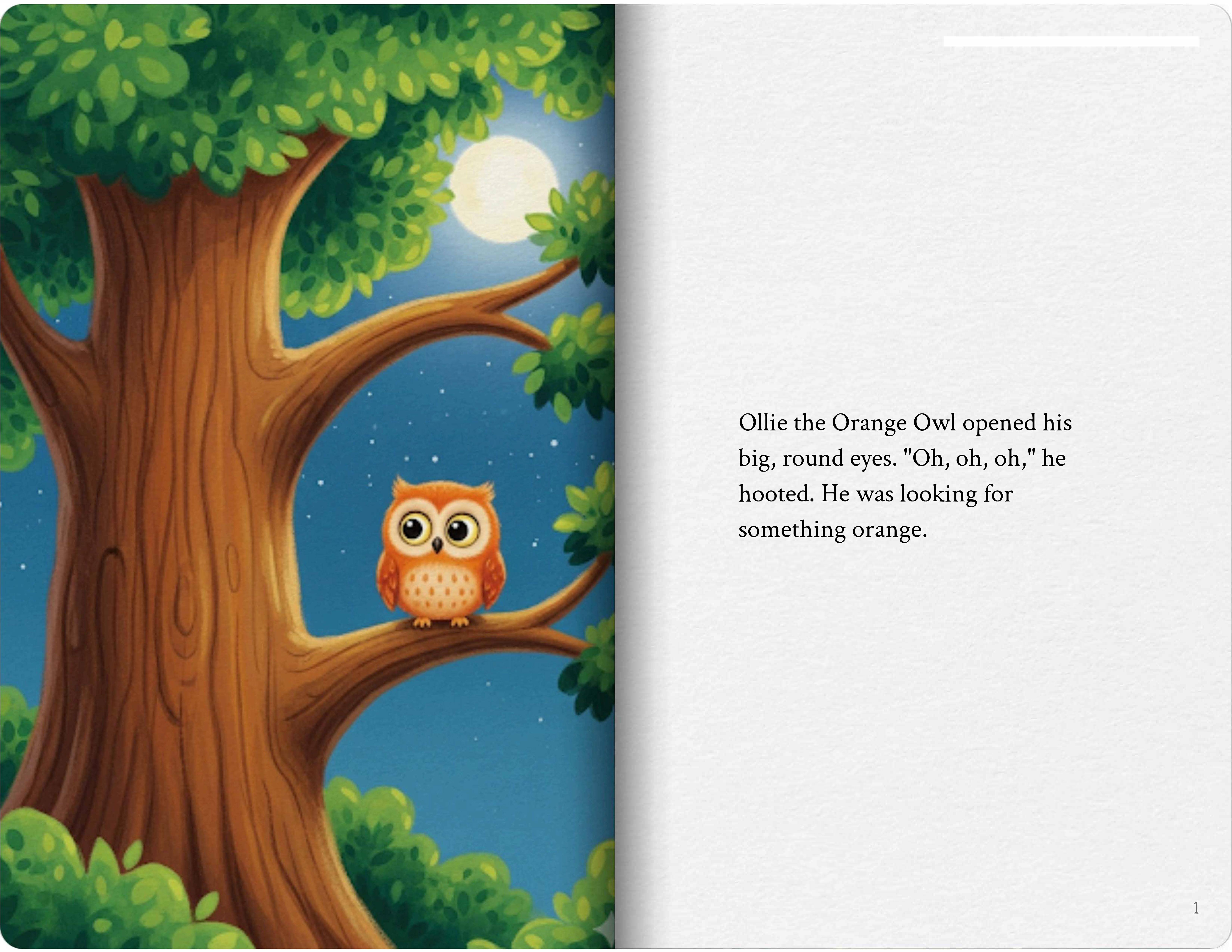 O and the Orange Owl