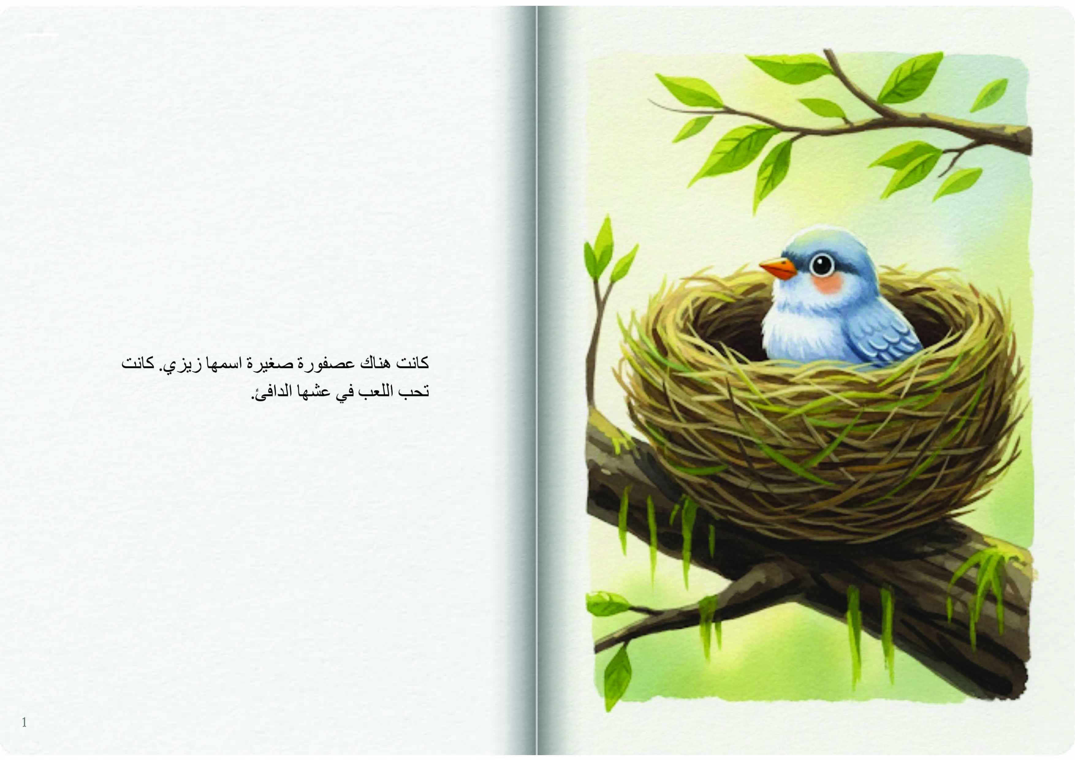 قوس قزح زيزي