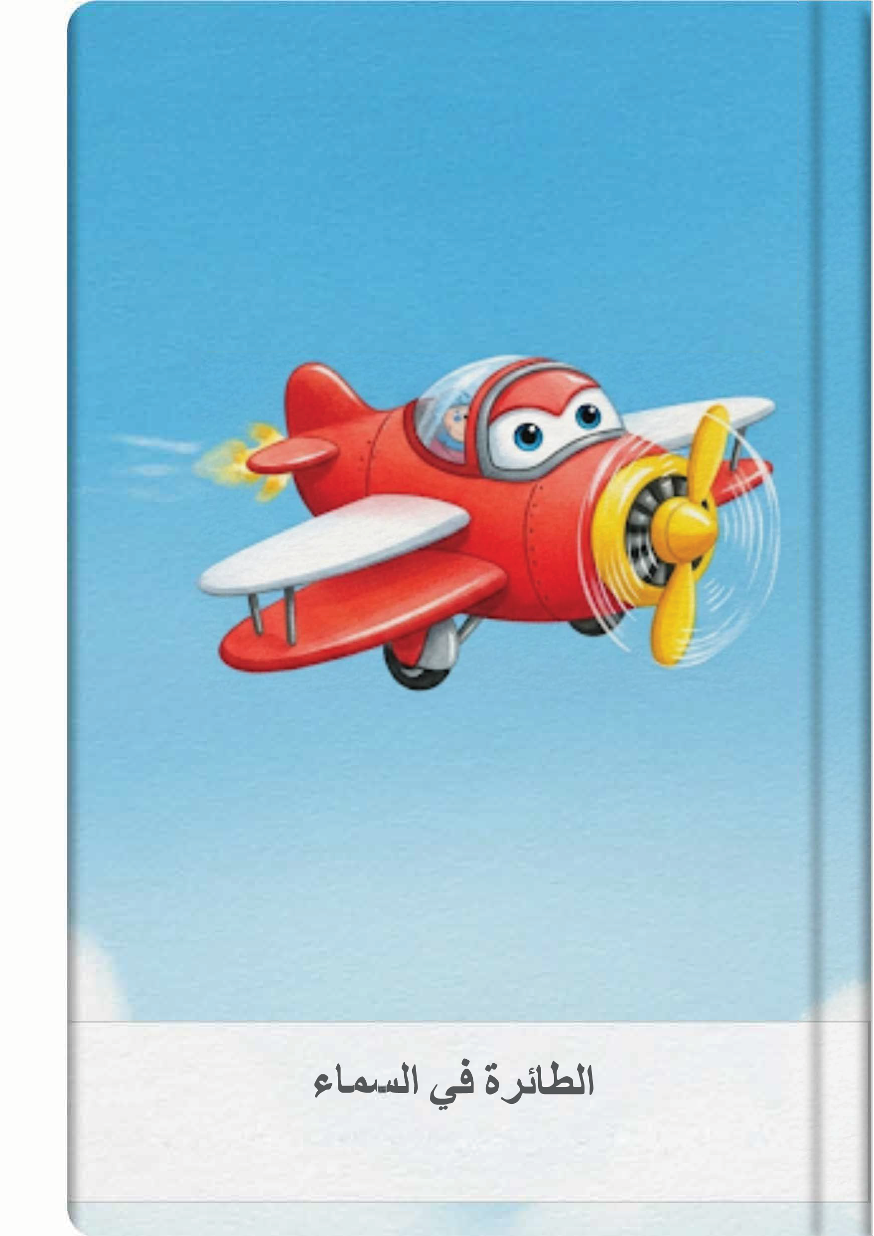 الطائرة في السماء