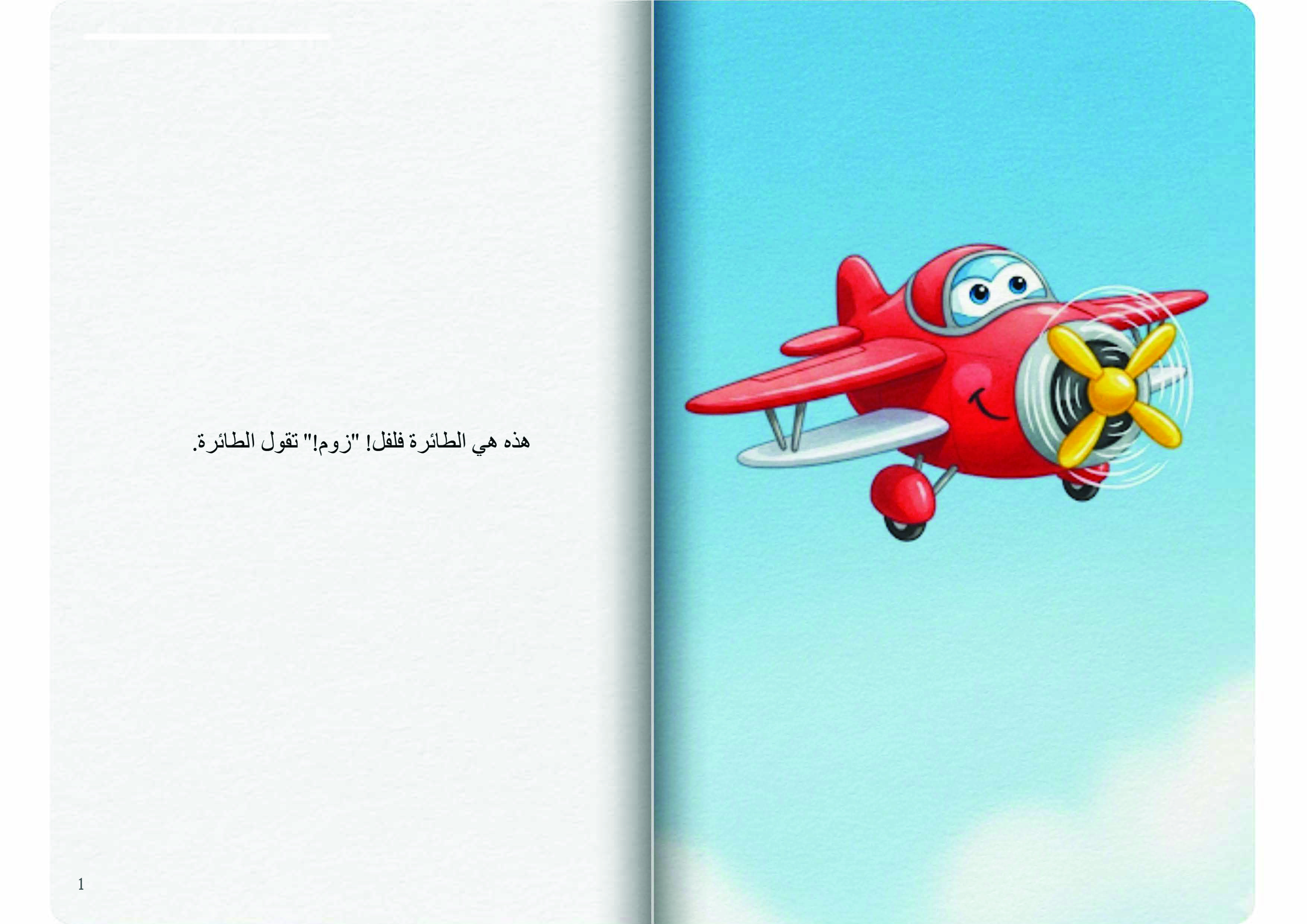 الطائرة في السماء