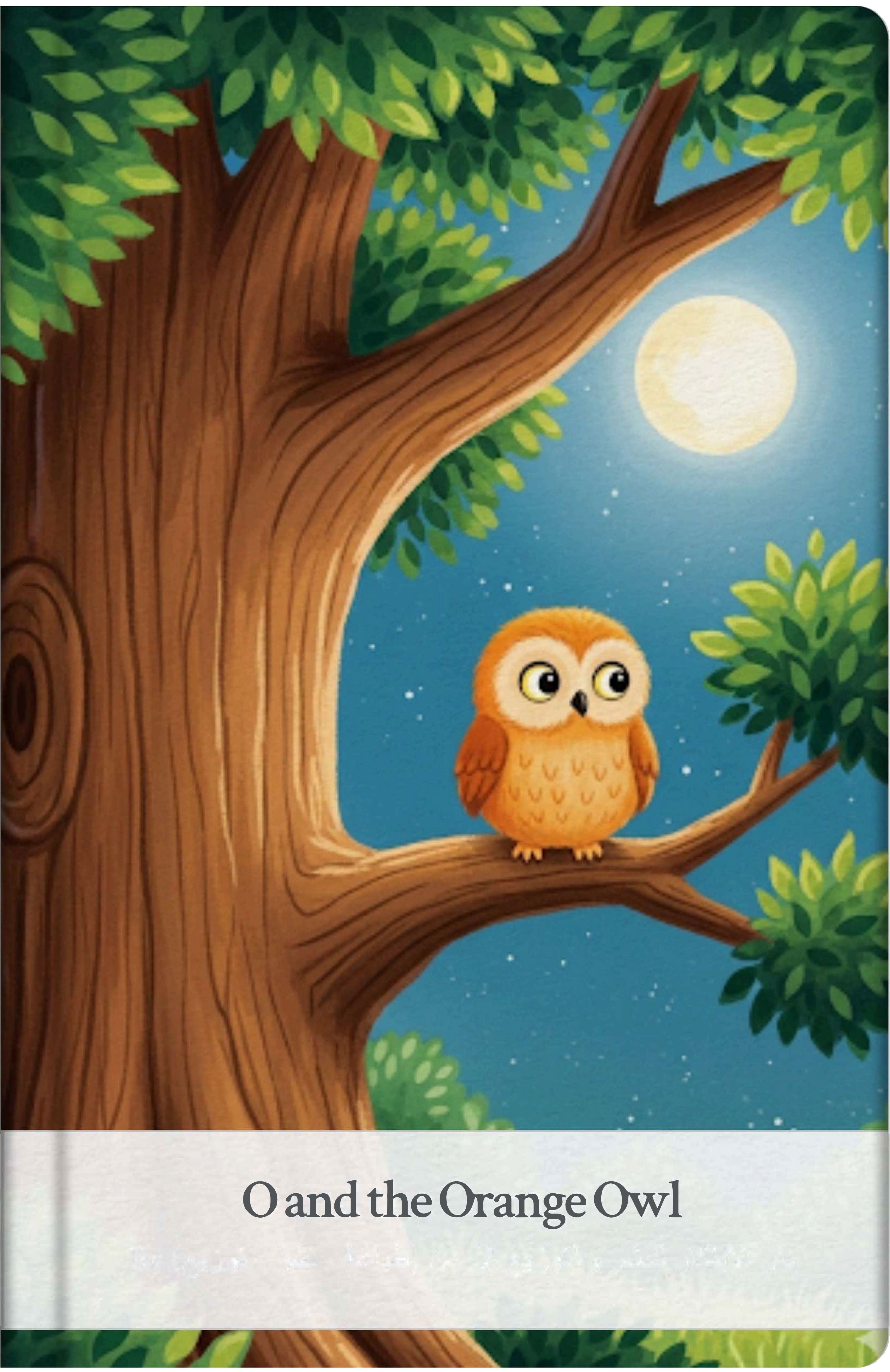 O and the Orange Owl