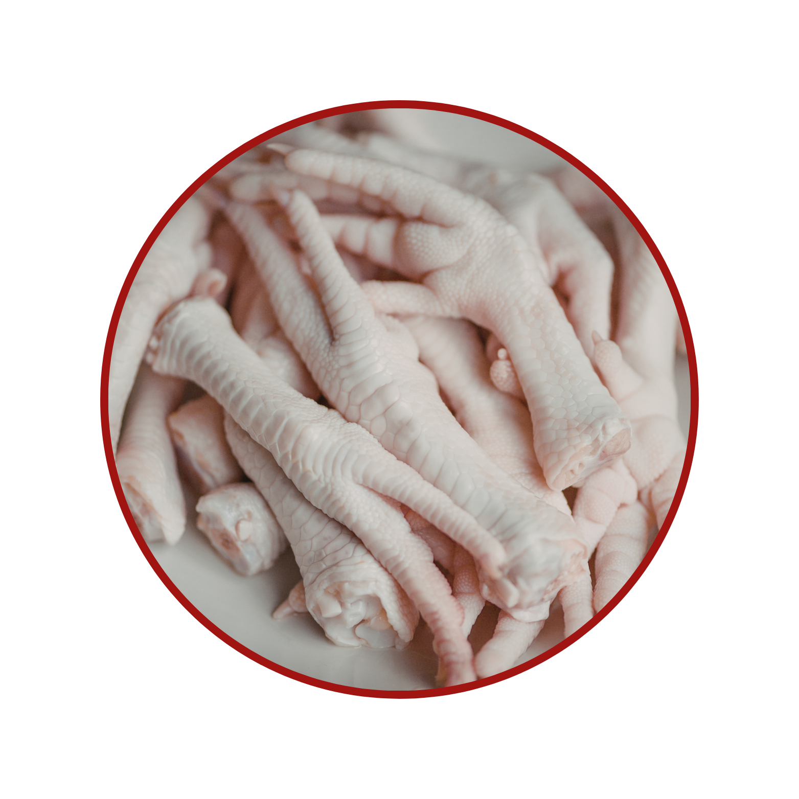 Fresh Chicken Feet