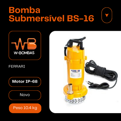 Bomba Submersível BS-6L 