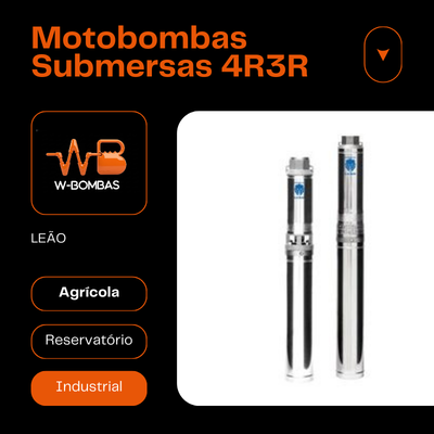 Bomba Submersa Leão Modelo 4R3R