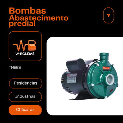 Bomba Monoestágio TH-16 NR Motor Thebe 1,0 CV IP21/IP55 Monofásico 110/220/254V Trifásico 220/380V