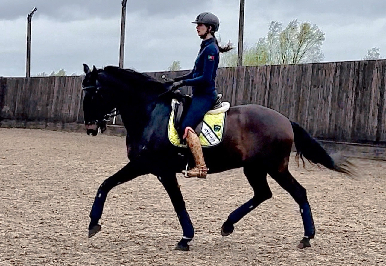 Online Riding Lessons - 1 single session 