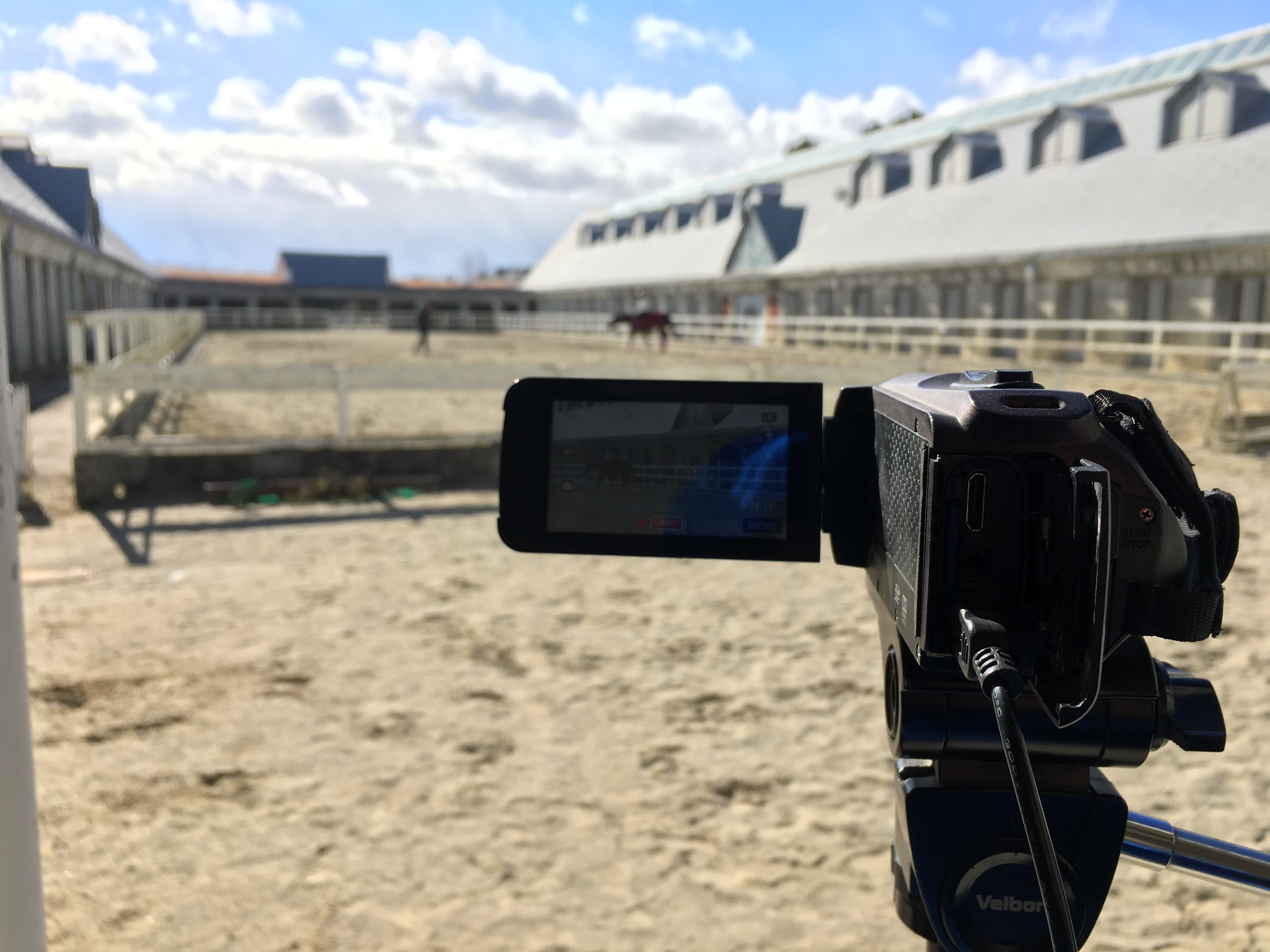 Online Riding Lessons - Pack of 10 sessions