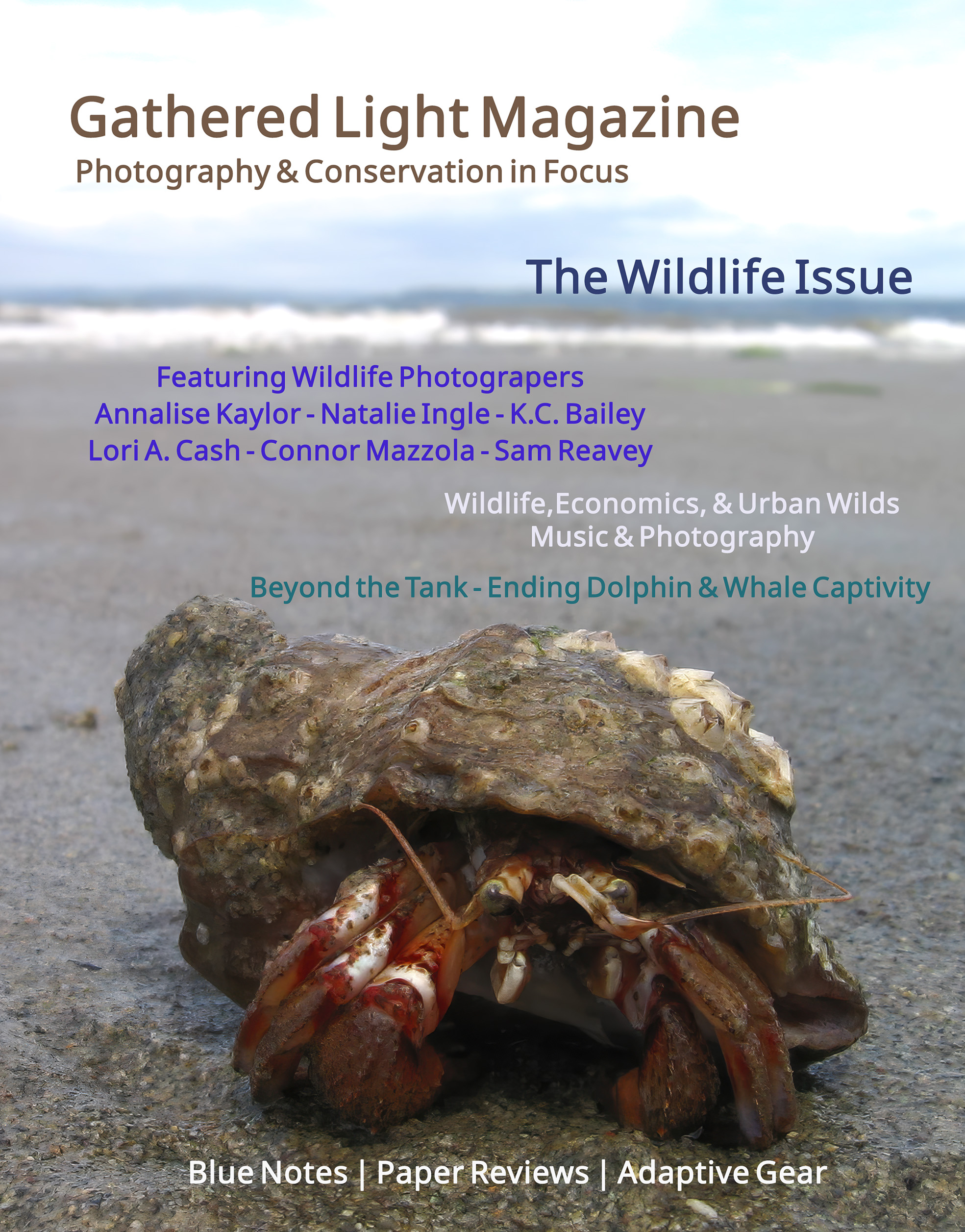 Gathered Light Magazine Issue 4 PDF