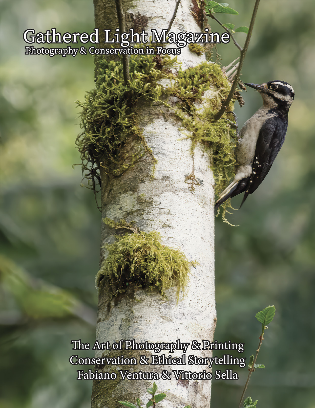 Gathered Light Magazine Issue 1 PDF