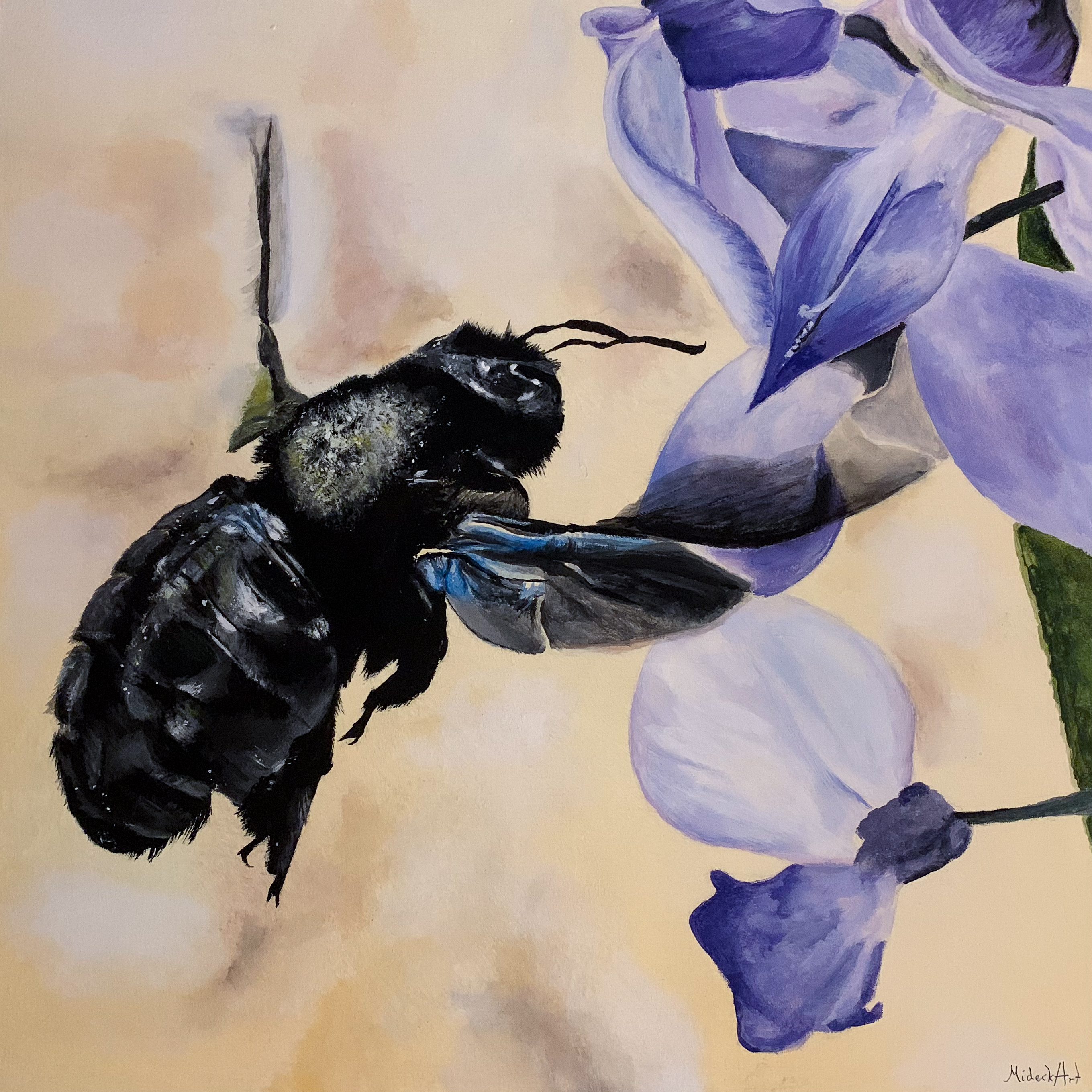 "Carpenter Bee"