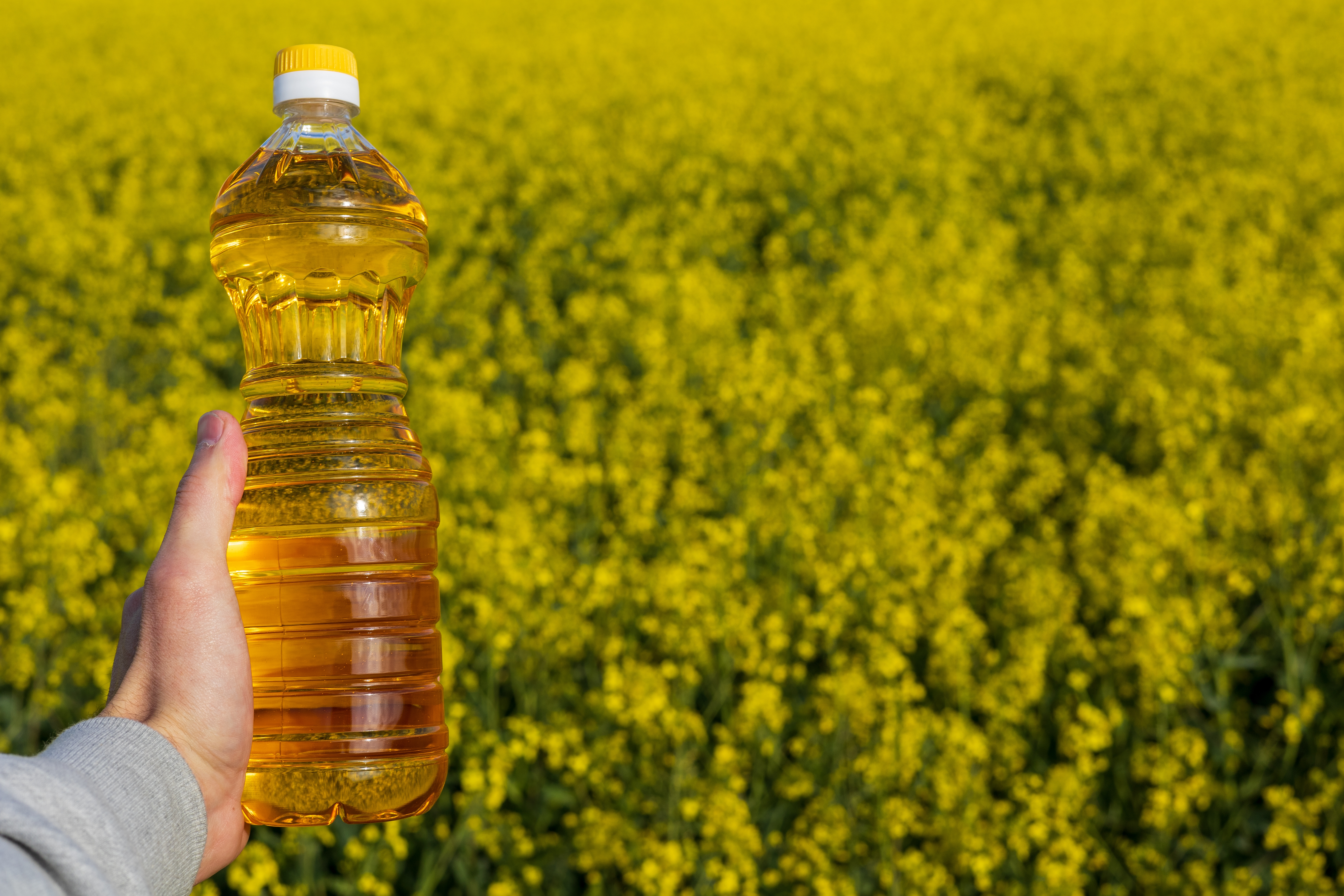 Tarkash Kacchi Ghani Oil