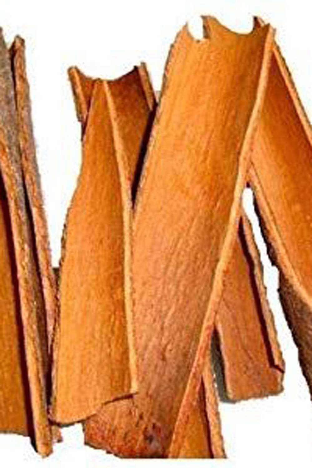 Tarkash Daal Chini Powder