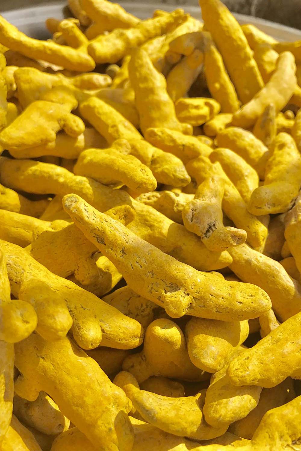 Tarkash Haldi