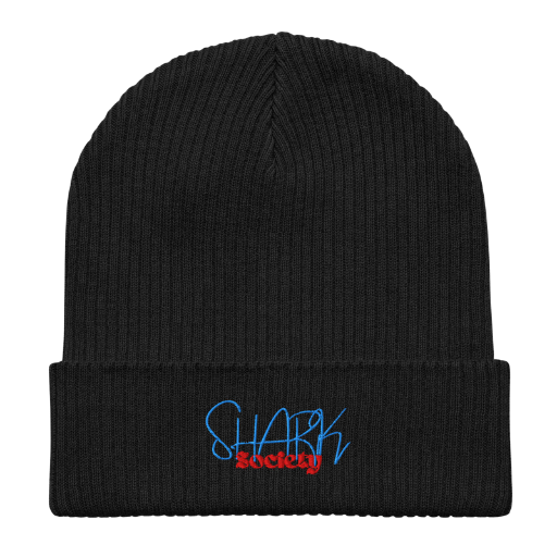 Classic Beanie