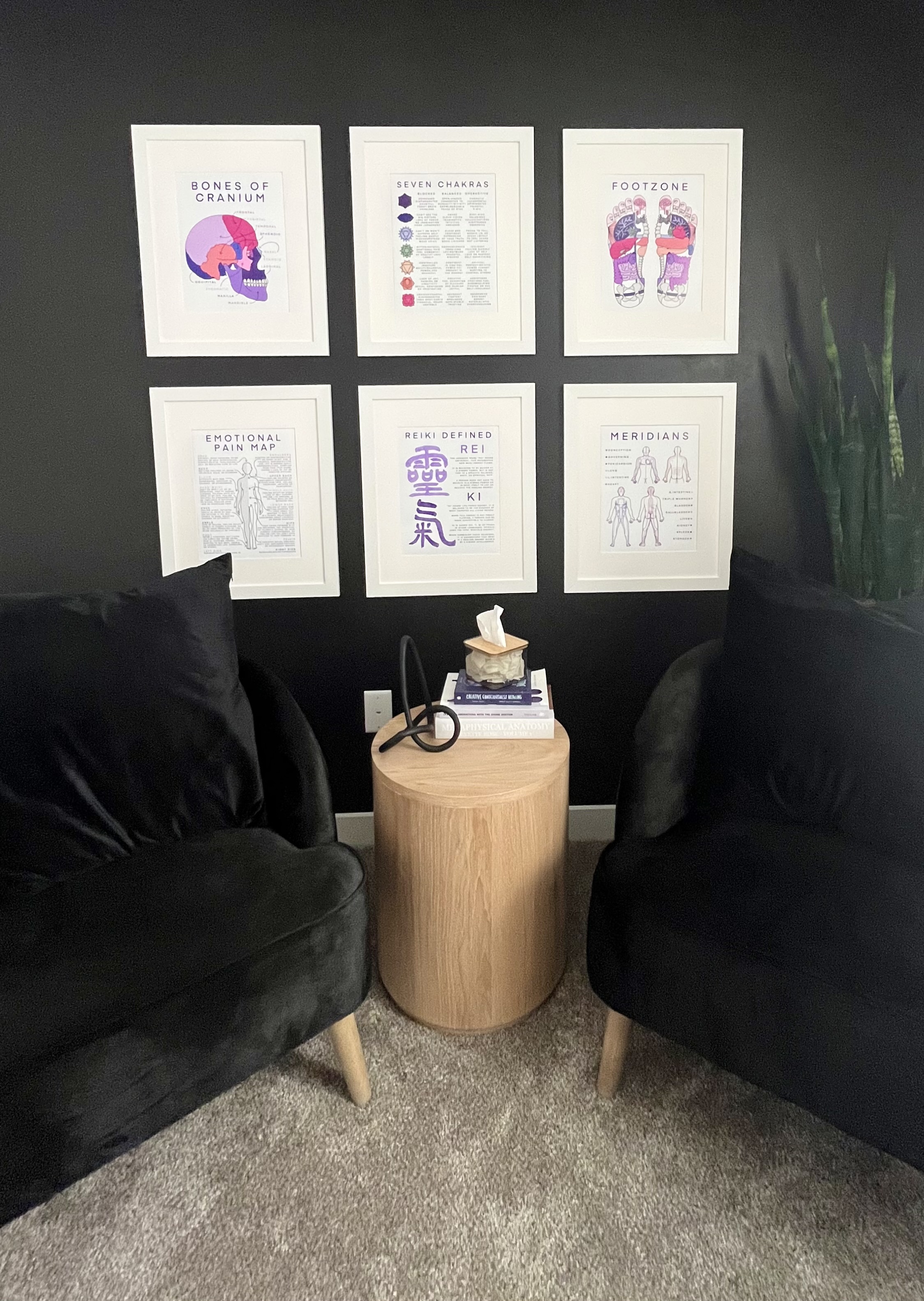 Intuitive Craniosacral Session $100