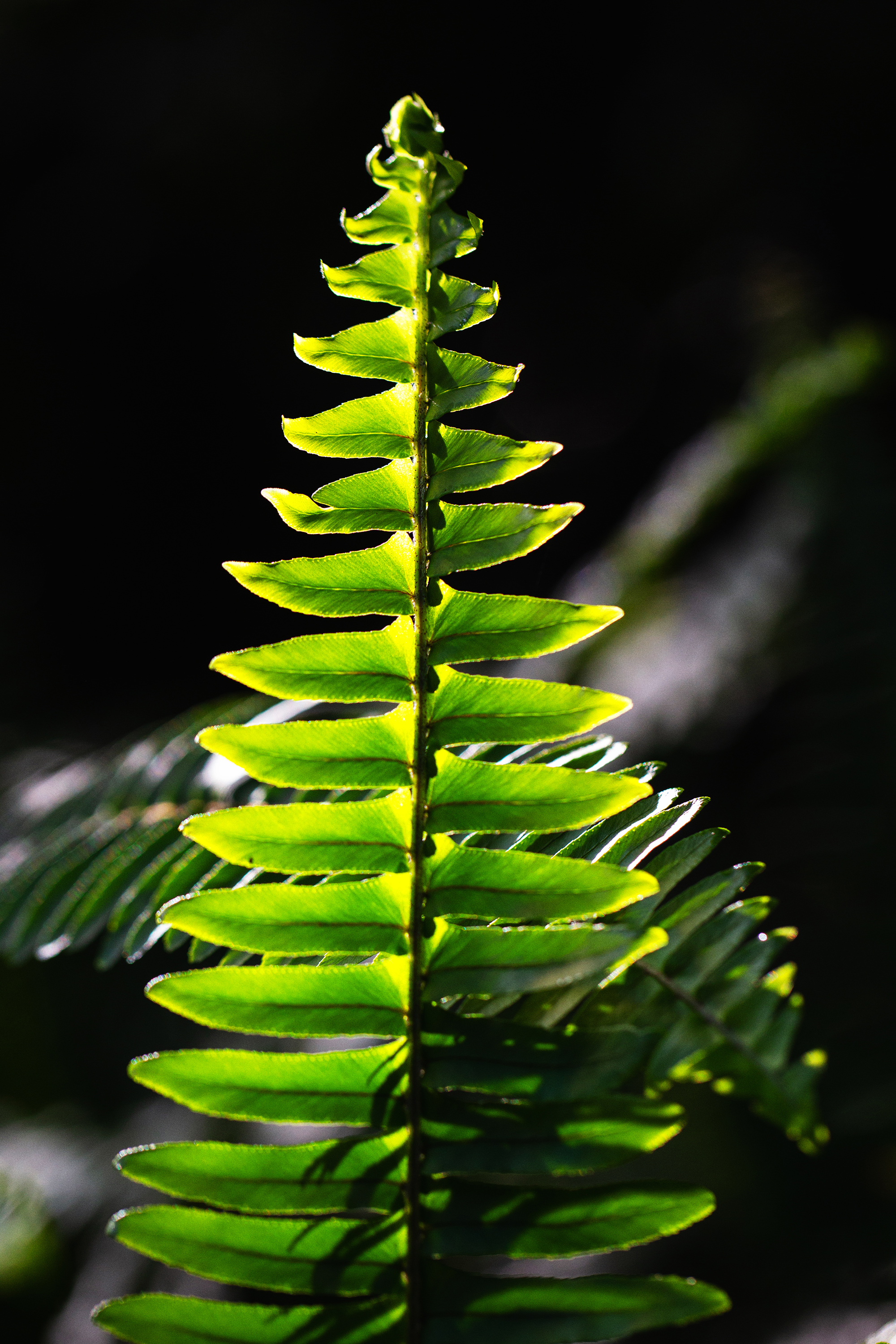 reaching  20x30 metal print