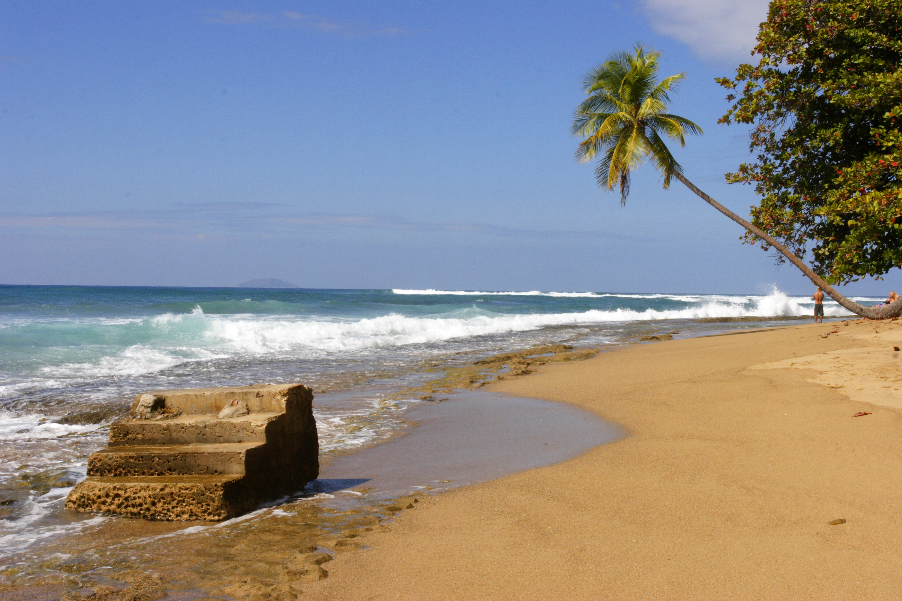 steps 20x30 metal print