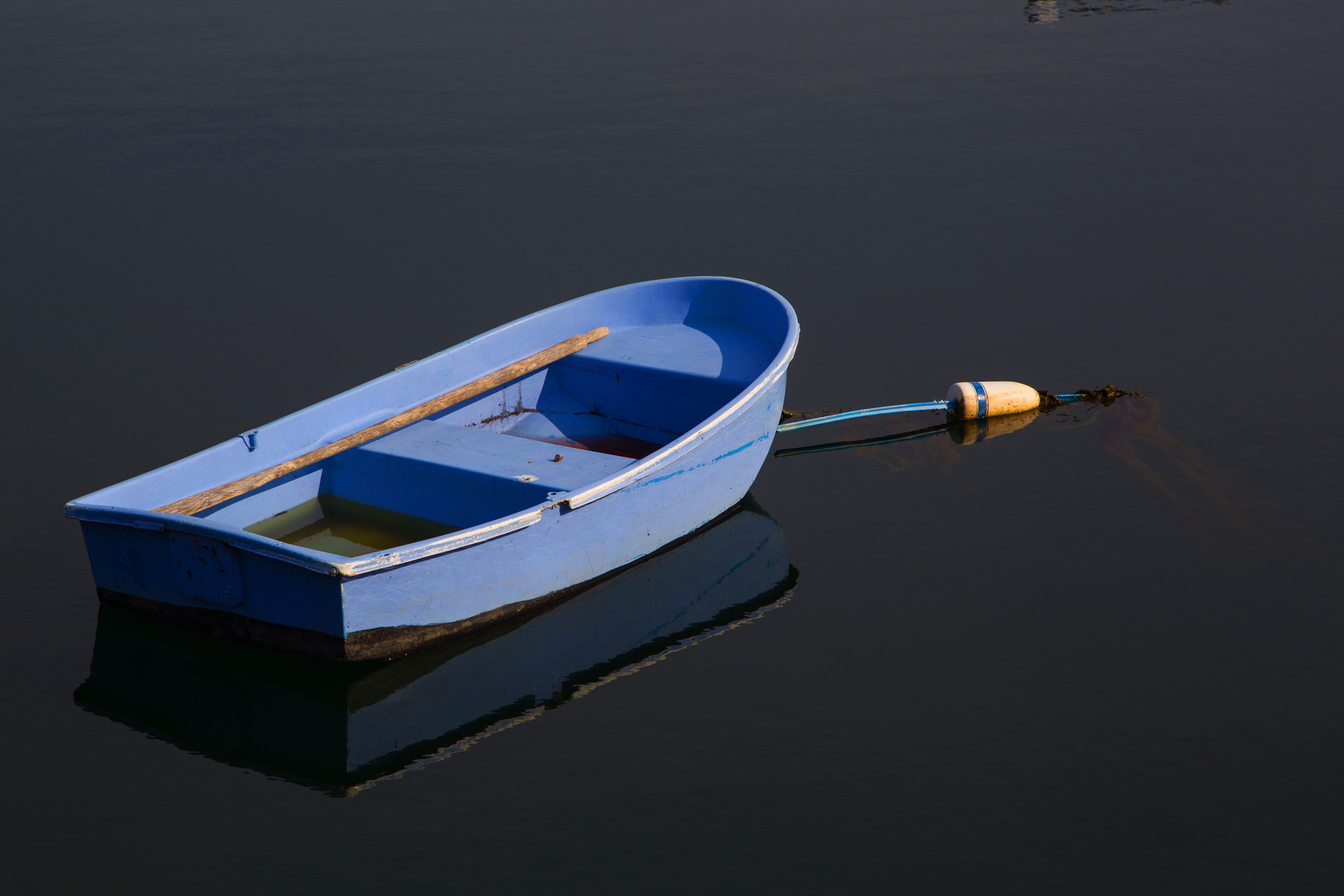 lone 20x30 metal print 