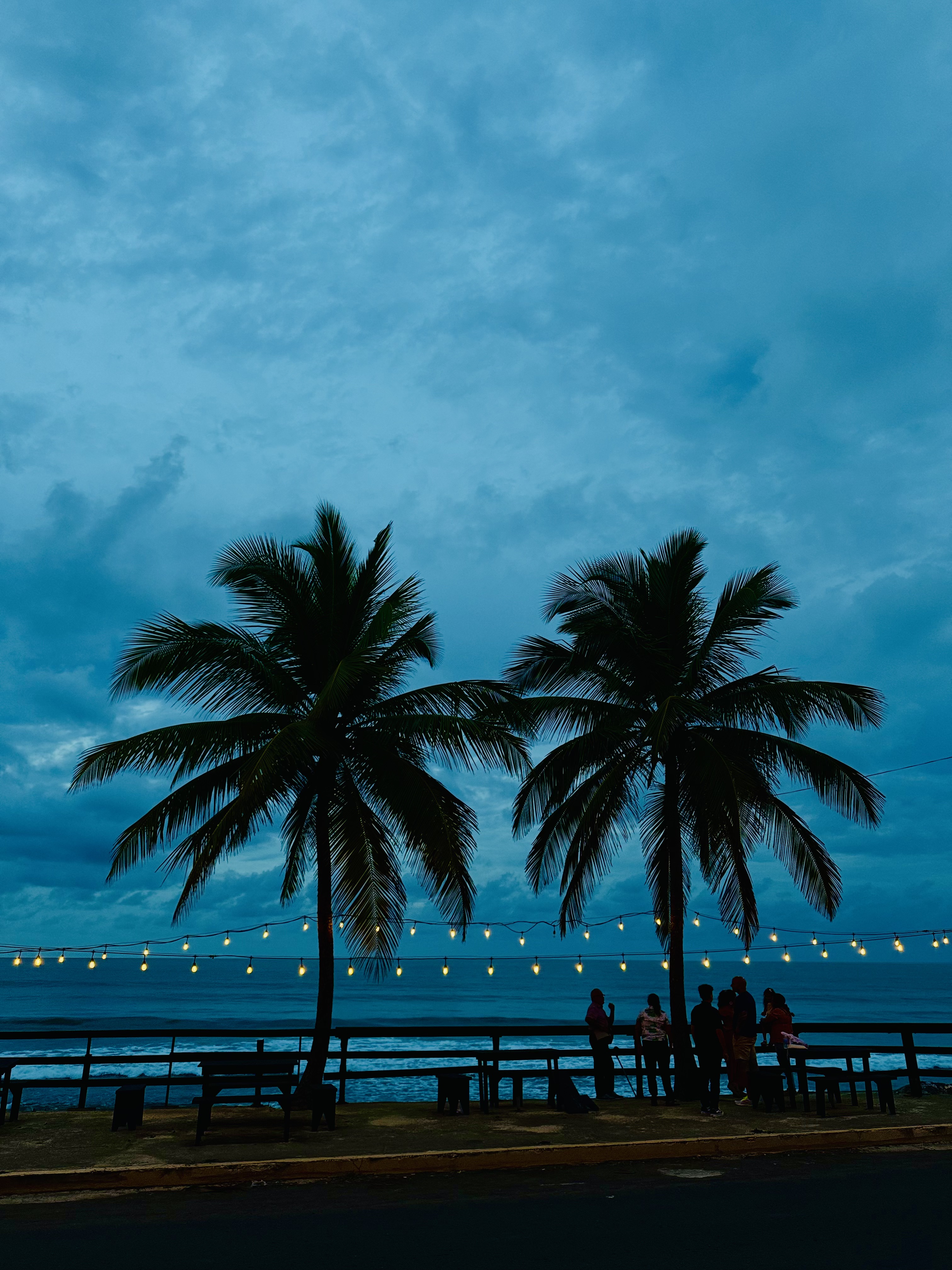 sea night 20x30 metal print