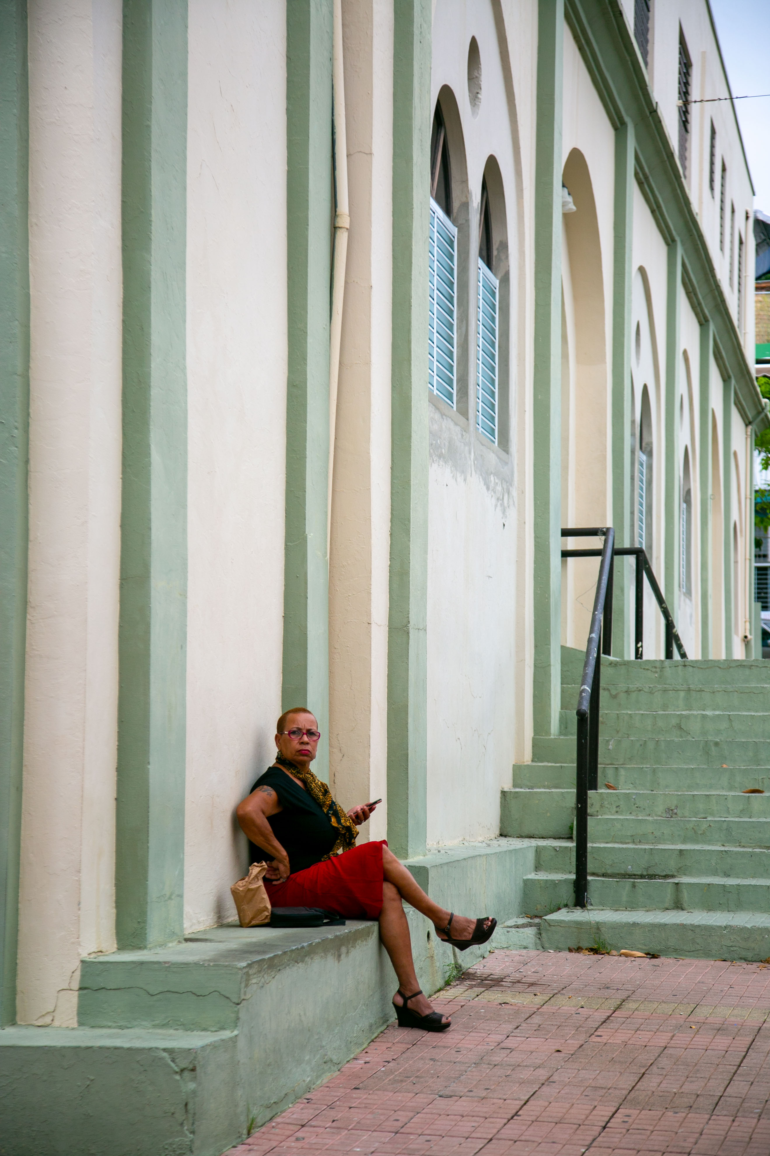 church lady 20x30 metal print