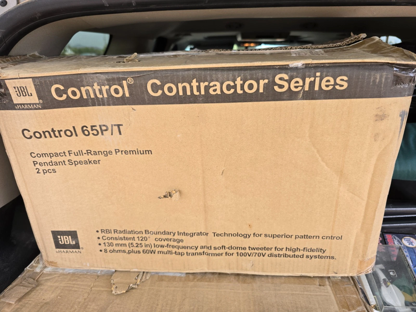 Hanging Pendant Speakers (Pair)