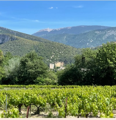 Réservez votre balade contée - Enfant (de 12 à 18 ans)