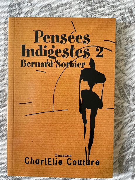 Pensées indigestes 2
