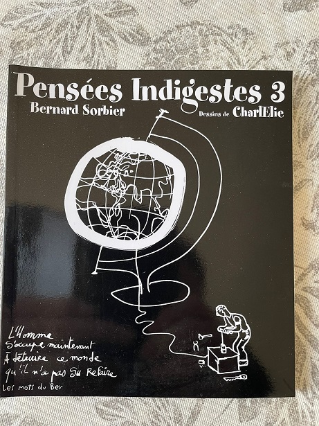 Pensées indigestes 3