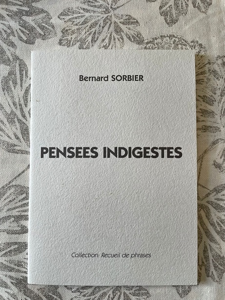 Pensées indigestes