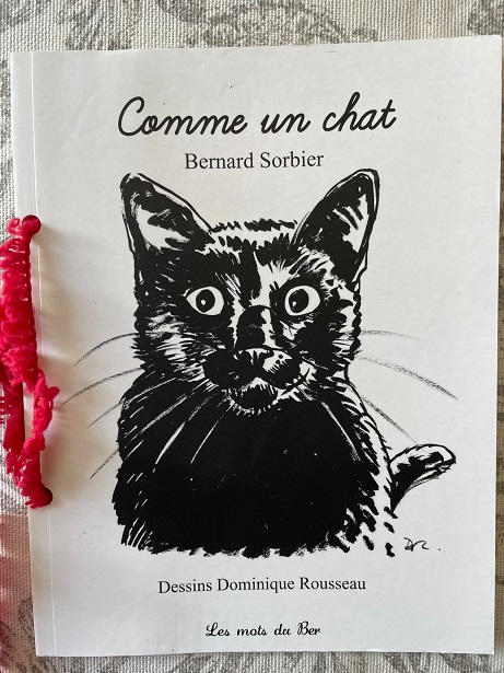 Comme un chat