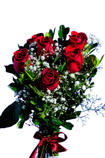 Buquê 6  Rosas Vermelhas