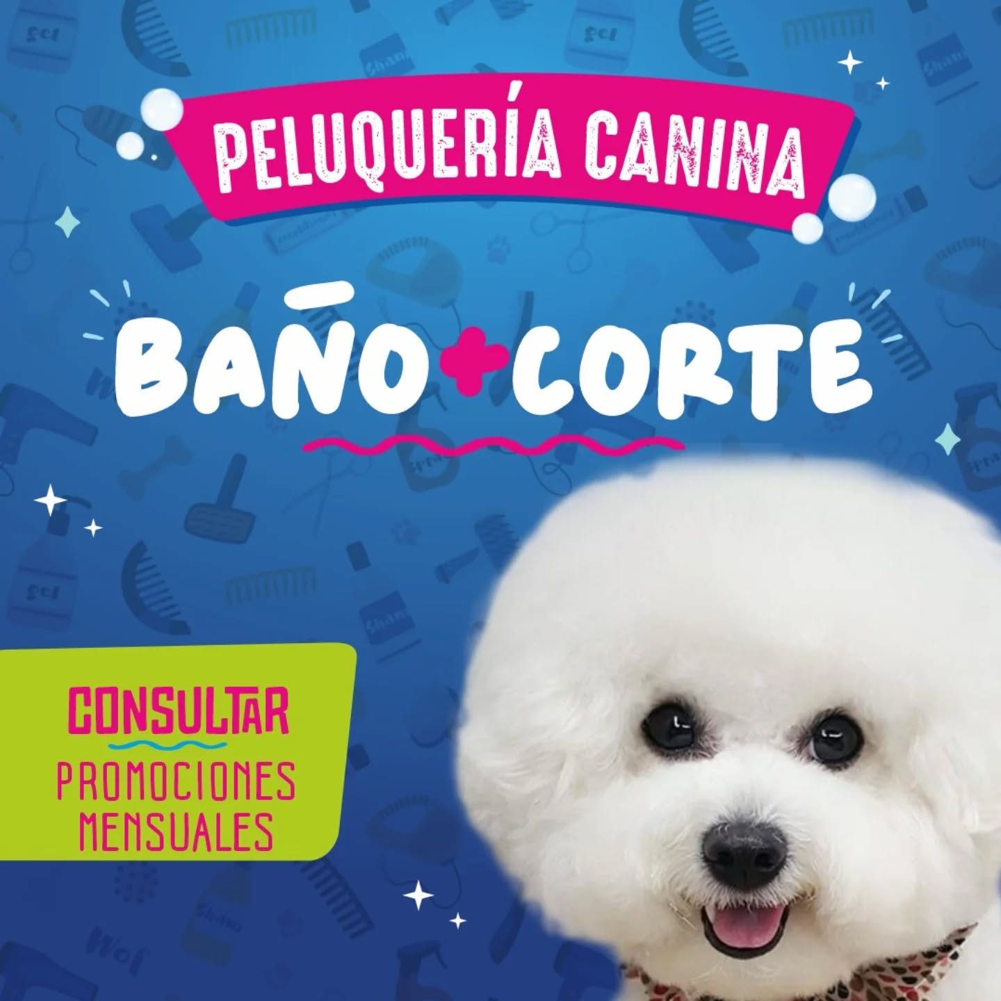 Baño + Corte con tijera
