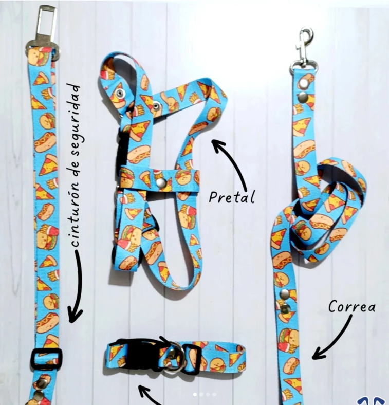 Collar | Correa | Pretal | Cinturón  