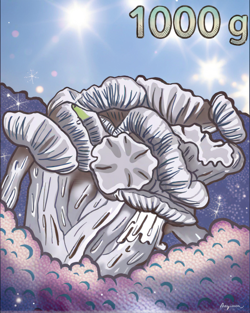 Mini Growkit True Albino Teacher Full Auto