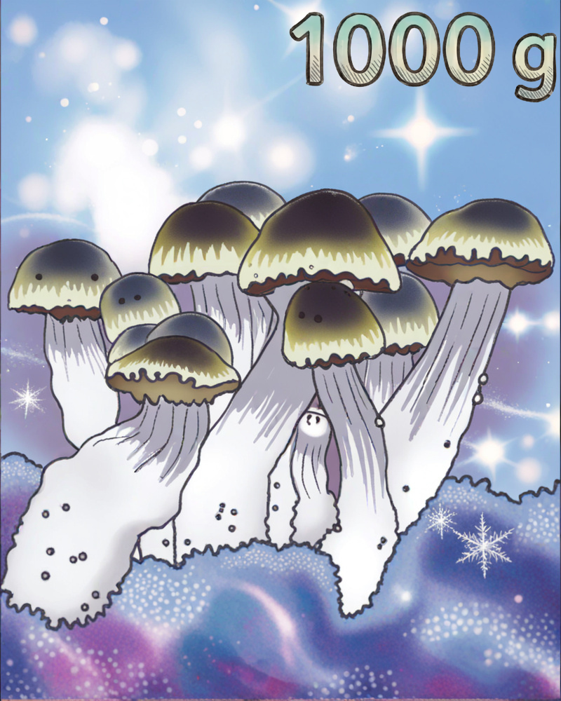 Mini Growkit Hillbilly Full Auto