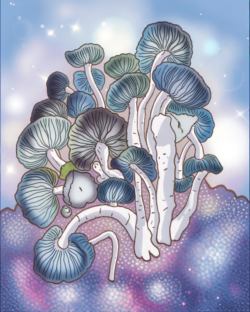 Growkit Jack Frost x Shakti Full Auto